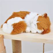 VOSS.pet krabpaal "Garfield" - Premium massief houten katten krabpaal