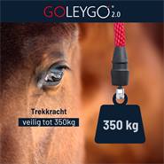 GoLeyGo 2.0 halster voor paarden en pony’s, zwart-fuchsia met GoLeyGo adapterpen