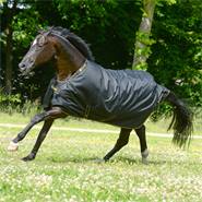 Bucas Irish Turnout paardendeken, 150g, black/gold