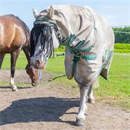 QHP vliegenfrontriem extra voor pony en paard, met halsriem