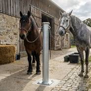 Twee paarden staan vastgebonden aan een Growi®-aanbindpaal van 170 cm, gemaakt van rondbuis met een voetplaat (Ø 102 mm) van Growi, die voor een schuur met open deuren op de boerderij staat.