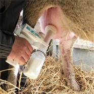 Melkpomp complete set, voor schapen