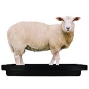 Klauwbad SuperKombi Mini, voetbad voor schapen
