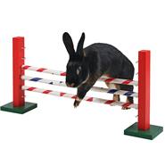 Agility hoogtesprong, springhorde voor knaagdieren, konijnen hindernis, 70 x 5 x 35 cm