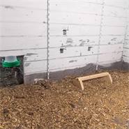VOSS.farming zitstok voor kippen, om neer te zetten, voor het kippenhok en buitenverblijven