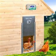 SET: VOSS.farming  "ChickenFriend" - premium model, kippenluik 430 x 400 mm + solar accu set