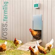 SET: VOSS.farming Chicken-Door + alu kippenluik, 220 x 330 mm + solar accu