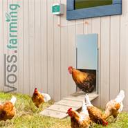 SET: VOSS.farming Chicken-Door + alu kippenluik, 300 x 400 mm + solar accu