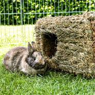 Grashuis XL van gedroogd gras, speel- en verstopplek voor konijnen en knaagdieren