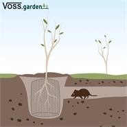 Woelmuiskorf, beschermkorf voor wortels en kluiten van bomen en planten, Ø 60 cm, verzinkt