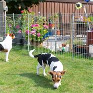 VOSS.garden gaaspaneel verzinkt, hondenomheining, 80x460cm, borderafscheiding, vijveromheining, klei