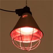 Infrarood warmtelamp, spaarlamp par 38, 100 watt, rood