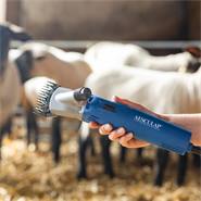 Scheermachine Econom Nova voor schapen en rundvee, 230V
