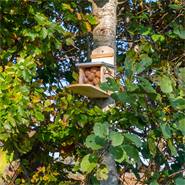 VOSS.garden voederstation voor eekhoorns "Lunne"