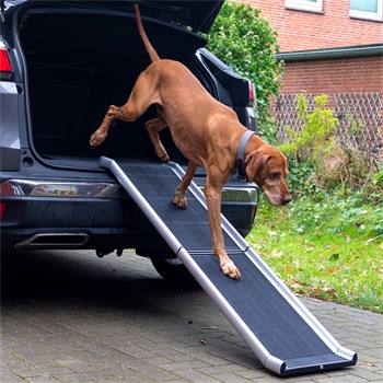 26916-01-inklapbare-hondenloopplank-auto-instaphulp-voor-honden-aluminium.jpg