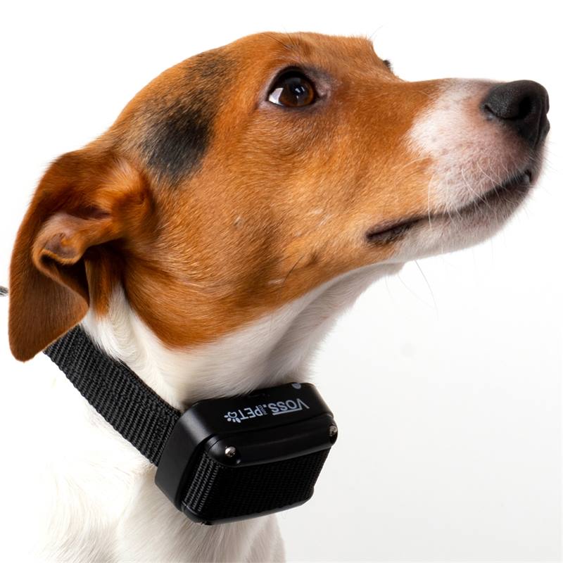 24725-21-voss-pet-dog-c900-teletac-elektronische-trainingshalsband-voor-honden-900mtr-afstandstraine