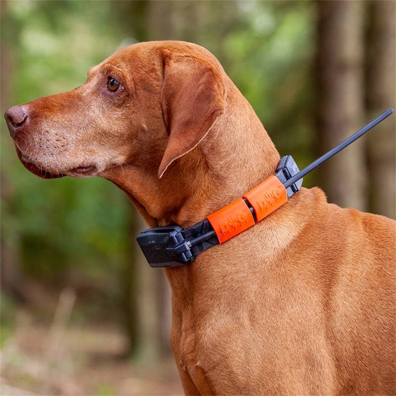 Dogtrace GPS X22, GPS tracker voordeelset voor honden "Orange" versie
