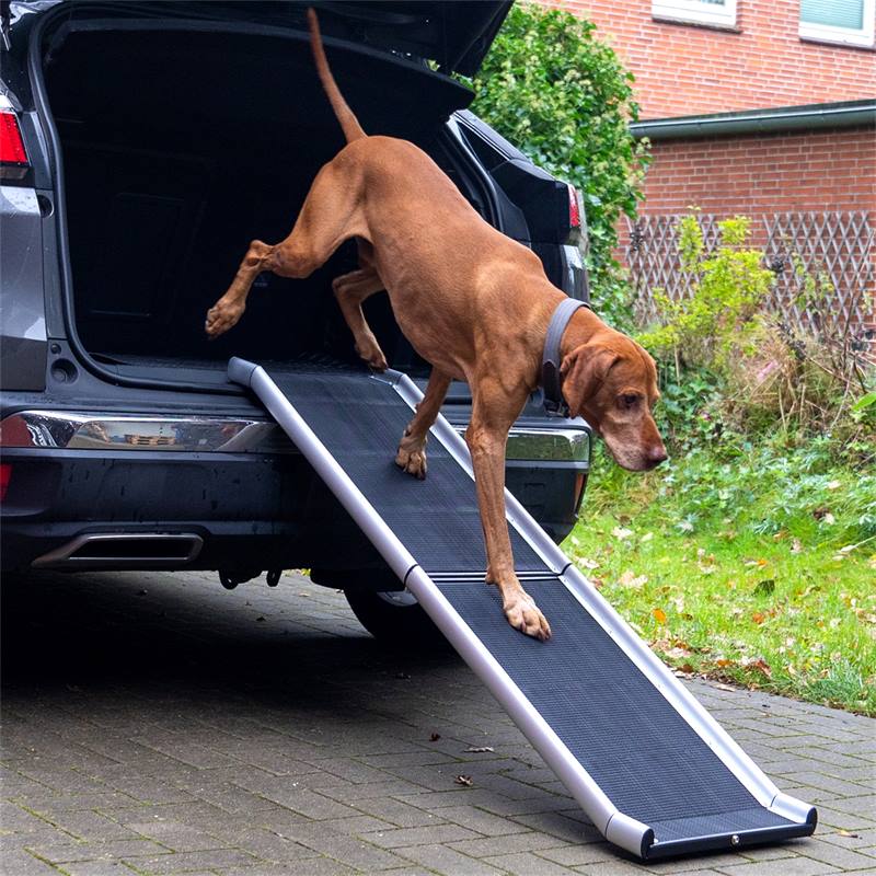 Midden Wie liter Inklapbare hondenloopplank - auto-instaphulp voor honden, aluminium