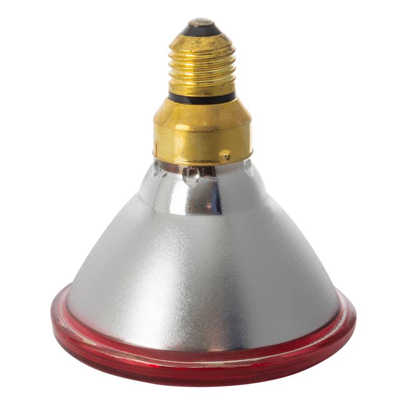 80322-80323-3-infrarood-warmtelamp-spaarlamp-par-38-rood.jpg