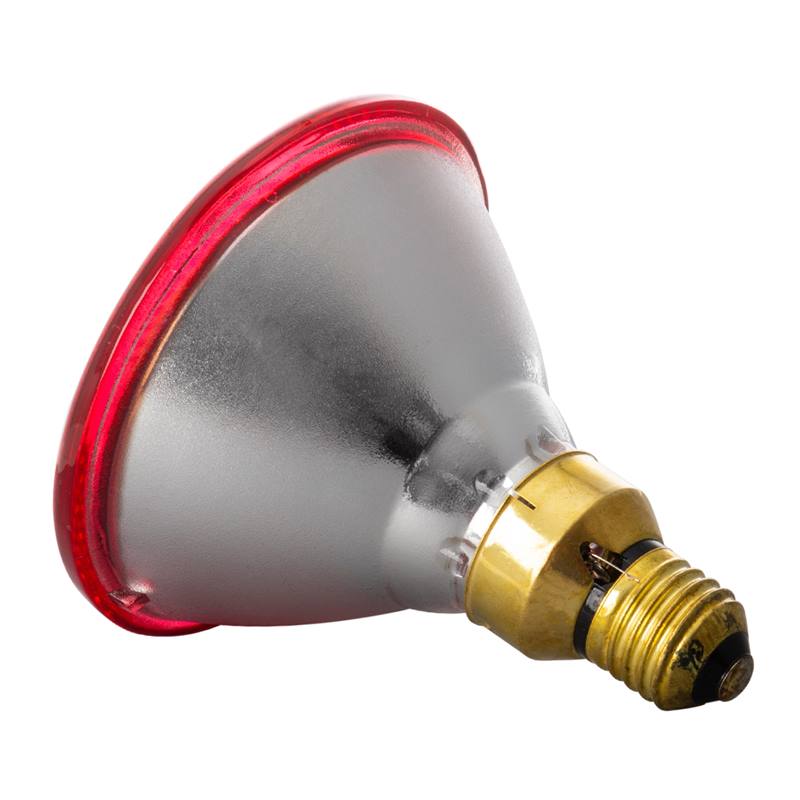 80322-80323-9-infrarood-warmtelamp-spaarlamp-par-38-rood.jpg